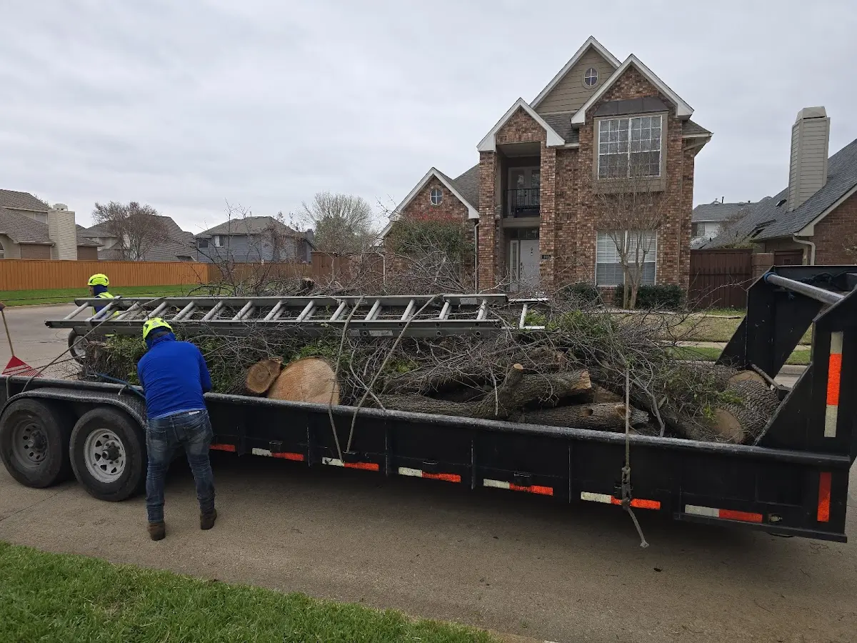 Expert Lot Clearing with proper safety equipment in Portis